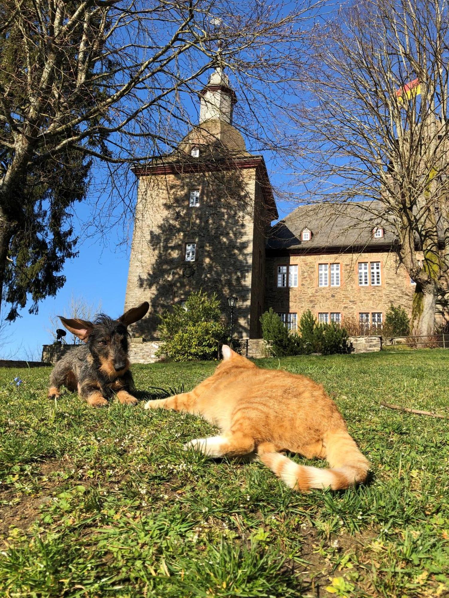 Hotel Und Restaurant Burg Schnellenberg Attendorn Eksteriør billede